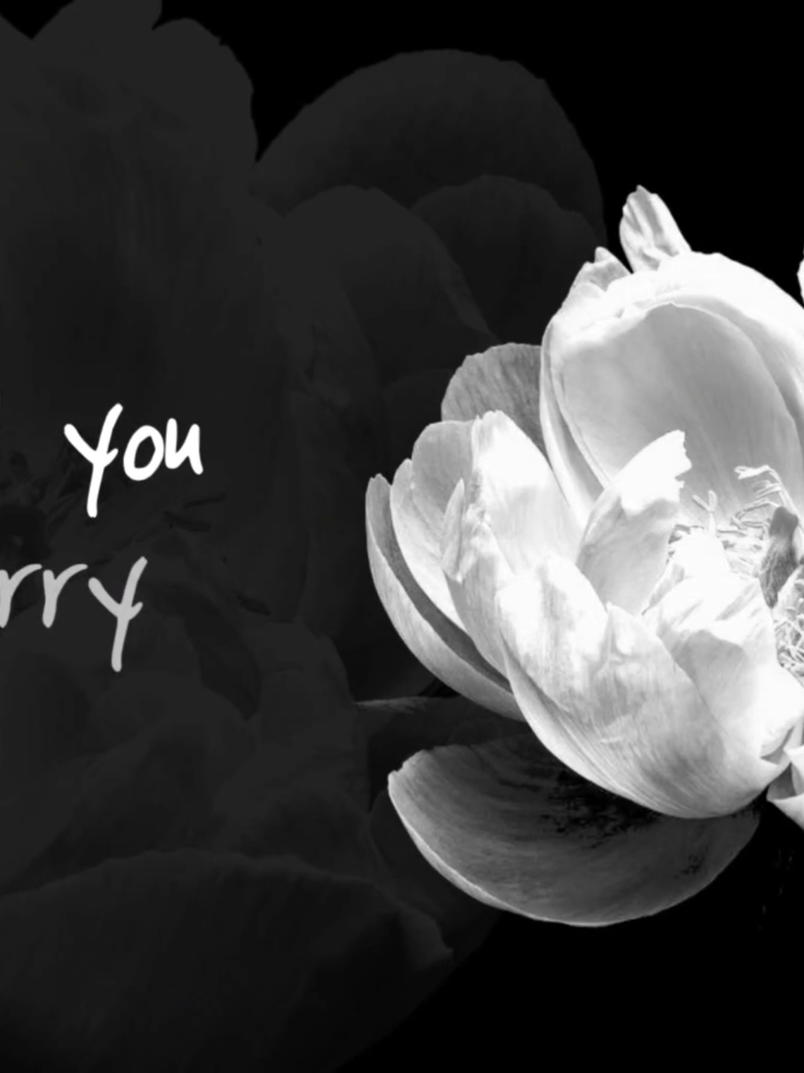 Hello | Adele #lyrics #fyp #foryoupage 