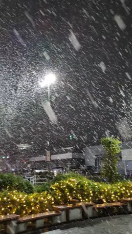 දෙනෙත තෙමයි ඔබේ මතක 🥺❤️‍🩹  🥶🌨️❄️⛄ #viral #trending #日本 #snow #japan 