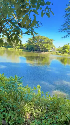 ဟိုက တစ်စုံ ဒီကတစ်ယောက်🫣🫣🫣🫣🫣🫣#လူအချင်းချင်းမေတ္တာထားနိုင်ကြပါစေ #အမြင်အာရုံတွေကြည်လင်ပါစေ 