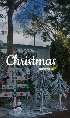 Đón không khí Noel giữa “Vịnh Hạ Long trên cao nguyên” thôi nào. Một mùa giáng sinh thật chill đang chờ bạn! Lên Tà Đùng kiếm gấu thôi nào hội FA ơiii #tadung #daknong #taynguyen #merrychristmas🎄#merel 