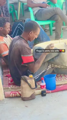 Zptinimo💔🙏#foryouuuuuuuuuuuuu #fypシ #putlander🇸🇱💙😘 #fyppppppppppppppppppppppp #fyppppppppppppppppppppppp 