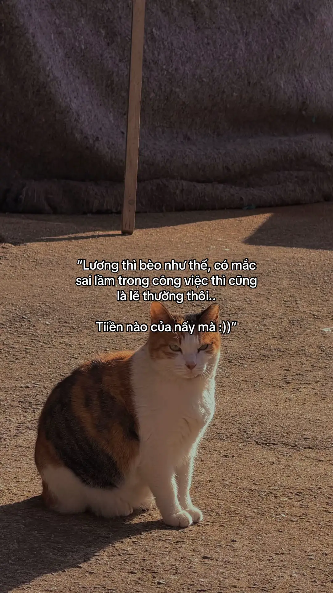 #tamtrang #foryou #fyp 