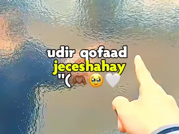 2k🎯🙏🏻#loveisaar❤️👈 #jawibila🌊❤️🌴 #5marcopylinkitaabo #viewsproblem😭 