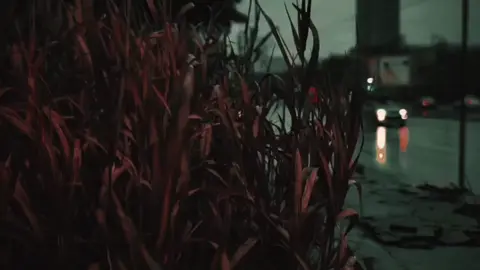 ما كافي يا يمه هجر ..🤍💔 #سيد_سلام_الحسيني 