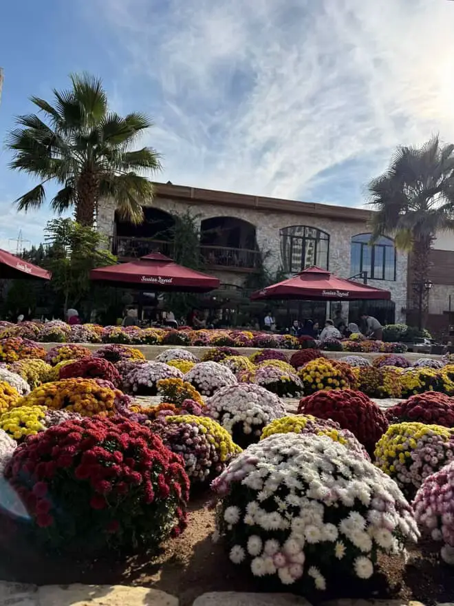 دهوك باژێرێ گولا🌸💐🌹😍