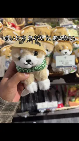 会いたいな😓#fyppppppppppppppppppppppp #にほんご #japanese #multo #missyou 