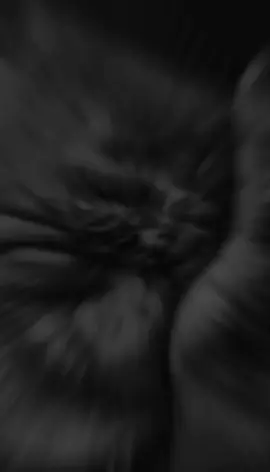 اليوم يوم القيامة ❤️‍🩹ا @𝐇𝐚𝐝𝐢 ♥  #sheekh_xusen_cali_jabuti  #faafiwanaaga #tiktokviral  #allahuakbar 