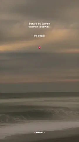 ආදරේනේ මගේ 🫀@U 🤍🦴 #foryou #foryoupage #100kviews #umedil #everyone 