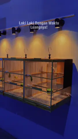 Set up kandang kenari #kenarimaniaindonesia #fyppppppppppppppppppppppp #PerawatanBurung #fyp #videoburung 