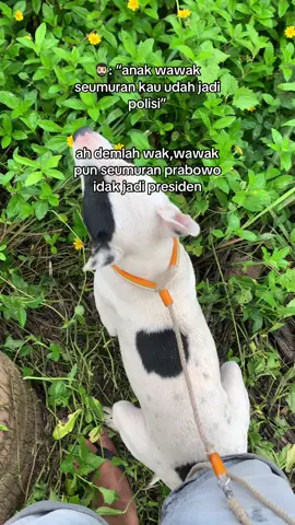 ⭐️SNADA⭐️ vigor😍 #porbicurupkepahiang #pphbrejanglebong #porbi50kota #porbiserumpuncurupkepahiang #porbibengkulukota 