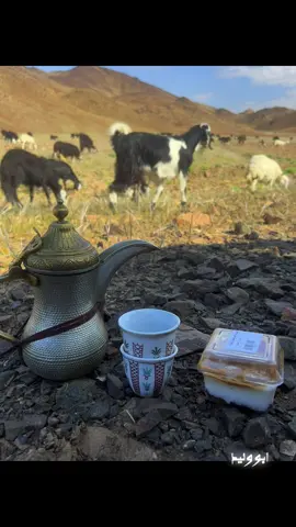 المويلح#امن الأرشيف💔#نيوم_تبوك_الشمال 