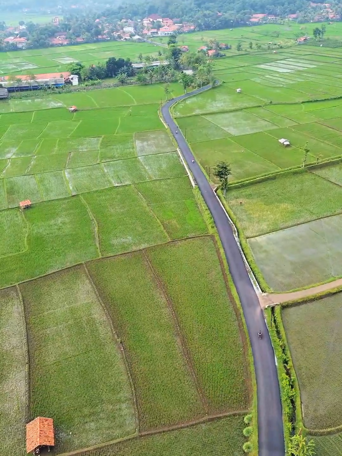 #maniispurwakarta #purwakarta_istimewa 