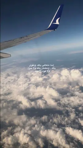 #explore #fyp #foryou 