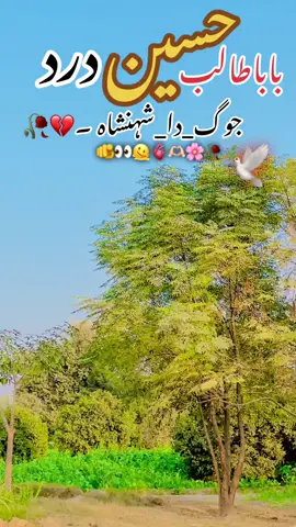 #باباطالب_حسین_درد❤️🥀💔 #جوگ_دا_شہنشاہ #سگنت۔ویڈیو۔ویرل۔کرسیو۔آپ۔ہیں 