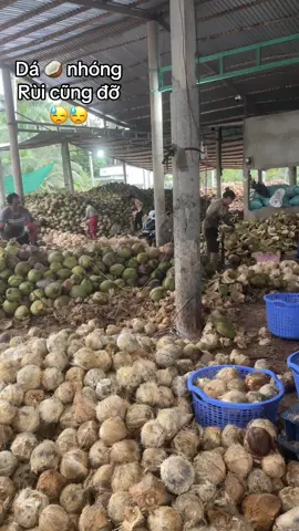 Nhìn phát bik dân tỉnh nào??#71bentre_xinchao🌴 #xuhuong 