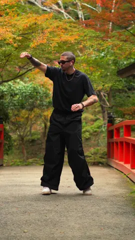 Zen mode ⛩️ . #dance #tutting #music #animation #japan 