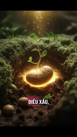 Bình tĩnh sống 03.12.2025 #binhtinhsong #tichcucmoingay #camxuctichcuc #chualanhtamhon #truyendongluc 