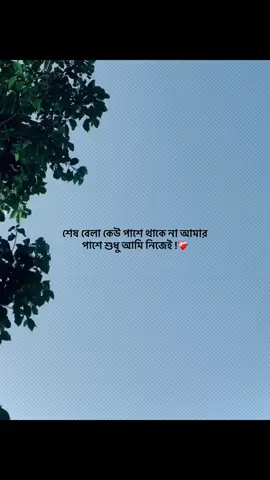 ~সময় খারাপ হলে মানুষকে নতুন চোখে দেখা যায়… যাদের নিঃশর্ত ভেবেছিলাম—তারাই দূরে চলে যায়। ভালো সময়ে সবাই হাত ধরে, হাসিতে পাশে থাকে, কিন্তু অন্ধকার নামলে বুঝি—আমি কতটা একা। আসলে জীবনটা এমনই… কেউ স্থায়ী না, কেউ সত্যিকারের না—💭🗯️ শুধু নিজের ভরসাটাই শেষ ভরসা। তবু আমি থামিনি, ভাঙিনি… কারণ একা পথ হাঁটতে শিখে গেছি আমি। নিজের যন্ত্রণা, নিজের ঘাম, নিজের শক্তিতেই আবার নতুন করে দাঁড়াতে শিখছি— ধীরে ধীরে, নিঃশব্দে…❤️‍🩹🕊️ দিন শেষে সত্যিটা একটাই— সবাই পাশে থাকে না, কিন্তু আমি আছি… নিজের পাশে...!! 💬💘 ‌ #followers➕ #following #paratiiiiiiiiiiiiiiiiiiiiiiiiiiiiiii @TikTok LIVE Indonesia 