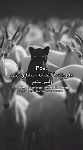 📈✨ #نمر #اختلاف#تميز #viral #pov 