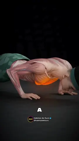 #flexaodebraco #flexãodebraço 