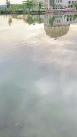 Masjid Apung Raha #indah #muna #4u #fyp 