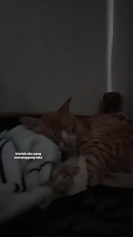 @Dorman Manik & Rany Simbolon #Cintakutakmati #musikditiktok #risingontiktok 