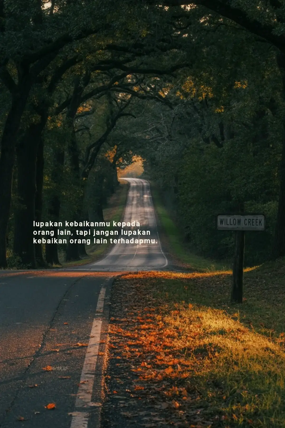 Bahan-bahan 📝: 200 g kentang (potong dadu, goreng) 100 g hati ampela / tempe / tahu (opsional) 5 siung bawang merah 3 siung bawang putih 5–7 cabai merah besar 5 cabai rawit (opsional pedas) 2 lembar daun salam 1 ruas lengkuas (geprek) 1 sdm gula merah 1 sdt garam ½ sdt kaldu bubuk 150 ml santan (opsional) Minyak untuk menumis --- 🔥 Cara Membuat Sambal Goreng Enak: 1. Haluskan bawang merah, bawang putih, cabai merah, dan cabai rawit. 2. Tumis bumbu halus sampai harum dan matang. 3. Masukkan daun salam & lengkuas, aduk rata. 4. Tambahkan garam, gula merah, dan kaldu bubuk. 5. Masukkan kentang goreng + pelengkap (hati ampela/tempe/tahu). 6. Tuang sedikit santan jika ingin lebih gurih, masak sampai bumbu meresap. 7. Koreksi rasa, angkat, dan sajikan. --- ✨ Tips Enak: Bumbu harus ditumis sampai benar-benar matang agar wangi dan tidak langu. Jika mau lebih pedas, tambah cabai rawit. Santan bikin sambal goreng lebih creamy dan gurih. selamat mencoba 😊  #4u #fouryou #xyzbca #fyp 