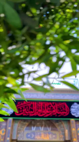 وحگ  عـيـنك لَوَنهم عشرة أولادي .... إلك خِدّام أصفهم وآخذ امرادي لَوَن ما فارگتني .... اعله حُبك عوّدتني .... حروف اسمك يرتل بيها وجداني #تطبيق_حقيبة_المؤمن #ام_البنين #حقيبة_المؤمن  #العتبة_الحسينية_المقدسة  #اللهم_عجل_لوليك_الفرج 