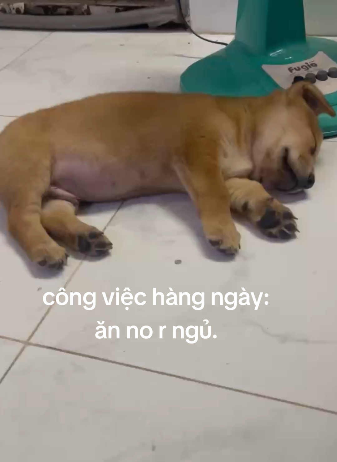 haizzz...#giảitrí #foryou #fyp 