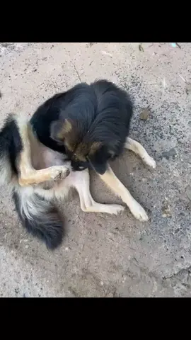 #CapCut #10ล้อหลัก40 #วัยรุ่น360💗🚛 #ฟูโซ่ @ด. ช. อานัสสั่งการ @ด. ช. อานัสสั่งการ @ด. ช. อานัสสั่งการ 