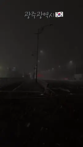 එකත් මේ ඇස් දෙකෙන්ම දැක්කා❄️☃️#southkorea🇰🇷#viraltiktok#foryou#travel#snow 