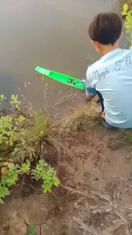 võ lãi mini  #Stelladayly #gaimientay #dulichcamau #69camau #volaimientay 