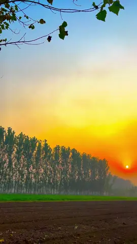 ہر روح اس زمین پر اپنے طریقے سے محبت کی تلاش میں ہے لہٰذا سلام ہو ان پر جنہیں زندگی میں سختی ملتی ہے لیکن وہ کسی پر سختی نہیں کرتے،🌸❤️🥀🥰🔐🦋#unfrezzmyaccount #foryoupage #nature #beauty #explore 