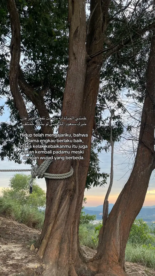 #selfreminder #reminderislamic #quotes #fyp #foryoupage 