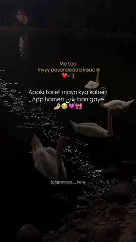 ~ app hameri jn bn gye❤️🫣<<< #foryoupage 