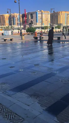 #المدينة_المنورة♥️🌴 #تصويري📷 