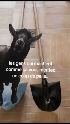 #CapCut 😡😡😐