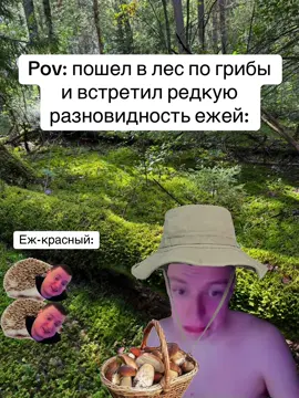 В красную книгу занесен#мемы #яужекрасный #угар 