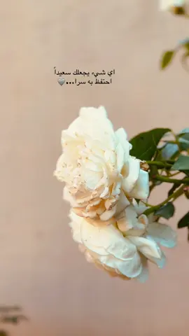 اي شيء يجعلك سعيدا احتفظ به سرا… #اقتباسات_عبارات_خواطر #fyp #اكسبلورر 