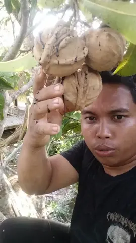 mukbang buah segar langsung dari pohonnya #viraltiktok 