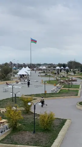 Festivala hazirliq #nefcala 