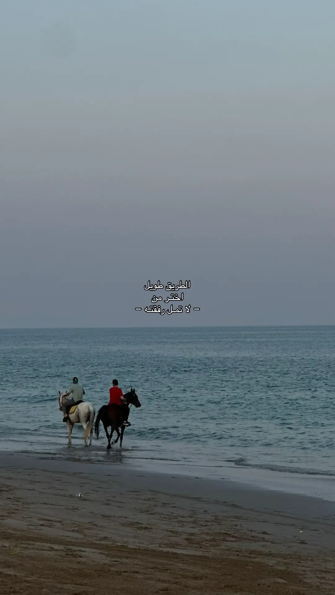 #foryou #عبارات #تيك_توك #tiktok #photography 