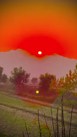 #foryou #foryoupage #trinding #photoghraphy #support🥰 