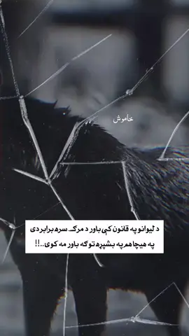 #creatorsearchinsights #foryoupage 