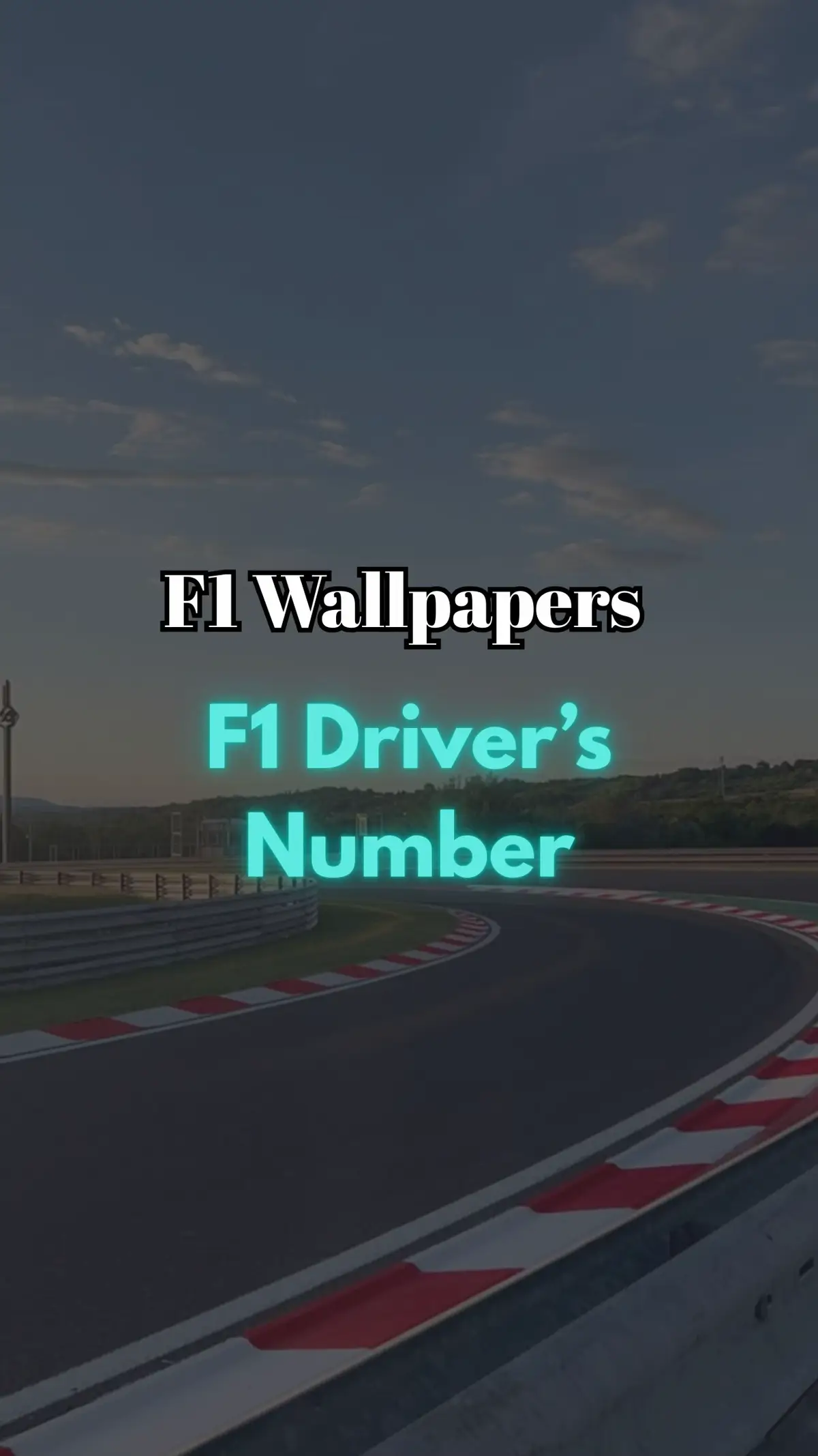 So far this is my fav wallpaper edit ever #fyp #fypシ゚viral #foryou #foryoupage #formula1 