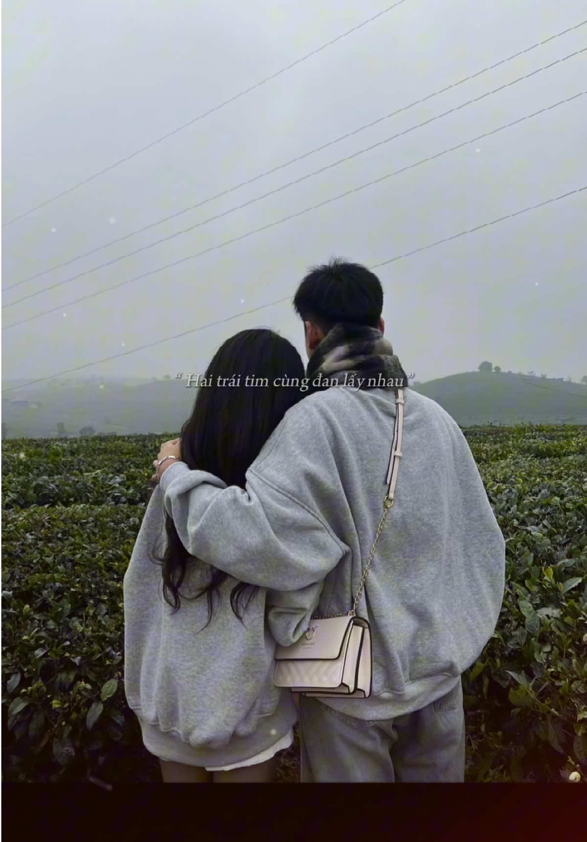 🦊🐰🐰#xh #cáovatho #rungthong #mocchau #tinhyeu 