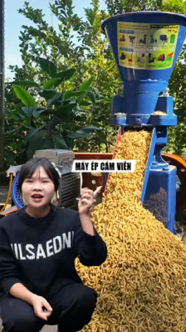 Máy ép cám viên, cầu nối giữa công nghiệp chăn nuôi và bà con nông dân #nôngnghiệp #chănnuôi #binhquangroup #bqg #mayepcamvien 
