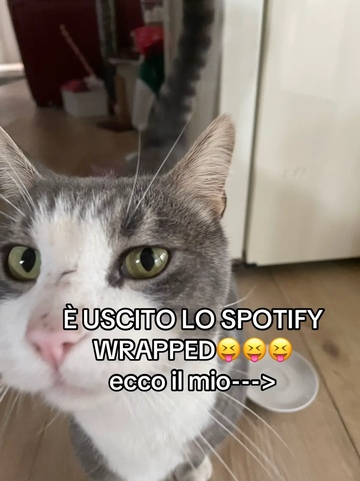 #spotifywrapped #spotify #spotifywrapped2025 