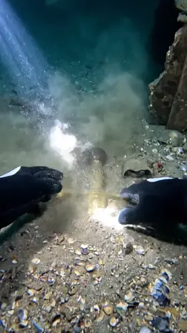 Ocean finds under water #cuteanimals #magicbook #asmr 