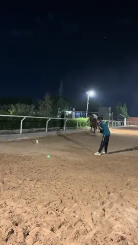 يلا ع الطعن ⚔️😉 #خيالةعراقية🇮🇶 